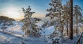 Winter landscape with covered in snow fir and pine trees on the hill near sea coast. Sunny winter day on snowy sea coast Royalty Free Stock Photo