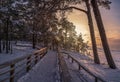 Winter landscape with covered in snow pine and fir trees during sunset. View of coniferous forest with wooden pathway near sea Royalty Free Stock Photo