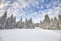 Winter landscape with cross-country skiing tracks. Royalty Free Stock Photo