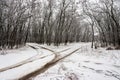 Winter landscape with crossroads