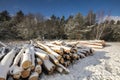 Winter landscape with cut logs under snow Royalty Free Stock Photo