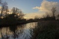 Winter landscape with a dark pond and bare tree silhouettes in the last evening light Royalty Free Stock Photo