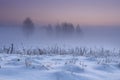 Winter landscape at dawn. Snowy winter nature in the early morning. Xmas background. Foggy and frosty landscape with clear sky Royalty Free Stock Photo