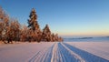 A winter landscape, decorated with cross country skiing trails Royalty Free Stock Photo