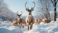 Winter Landscape  Deer In Snow Covered Forest, Tranquil Beauty In Nature Generated By AI