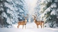Winter landscape with deers,snow and fir tree. Generative AI Royalty Free Stock Photo