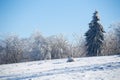 Winter landscape in dolnoslaskie, Poland Royalty Free Stock Photo