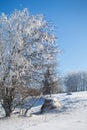 Winter landscape in dolnoslaskie, Poland Royalty Free Stock Photo