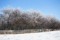 Winter landscape in dolnoslaskie, Poland Royalty Free Stock Photo