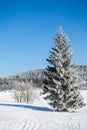 Winter landscape in dolnoslaskie, Poland Royalty Free Stock Photo