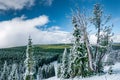 Winter landscape at Dunraven Pass, Yellowstone NP