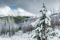 Winter landscape at Dunraven Pass, Yellowstone NP