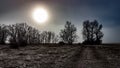 Winter landscape at dusk with a great sun on the horizon between an intense fog and silhouette of the trees. Atmosphere of fear