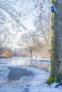 Winter landscape in a Dutch forest with a path with snow and frost, a stream with its frozen waters