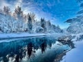 Winter Landscape Royalty Free Stock Photo