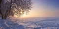 Winter landscape in the evening at sunset. Snow, frost in january. Winter nature background. Trees in sunlight