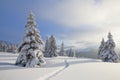 Winter landscape with fair trees, mountains and the lawn covered by snow with the foot path Royalty Free Stock Photo