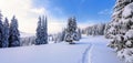 Winter landscape with fair trees under the snow. Scenery for the tourists. Christmas holidays. Royalty Free Stock Photo
