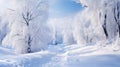 Winter landscape with fair trees under the snow. Scenery for the tourists. Christmas holidays. Trampled path in the snowdrifts Royalty Free Stock Photo