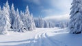 Winter landscape with fair trees under the snow. Scenery for the tourists. Christmas holidays. Trampled path in the snowdrifts Royalty Free Stock Photo