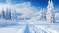 Winter landscape with fair trees under the snow. Scenery for the tourists. Christmas holidays. Trampled path in the snowdrifts Royalty Free Stock Photo