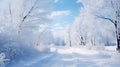 Winter landscape with fair trees under the snow. Scenery for the tourists. Christmas holidays. Trampled path in the snowdrifts Royalty Free Stock Photo