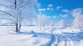 Winter landscape with fair trees under the snow. Scenery for the tourists. Christmas holidays. Trampled path in the snowdrifts Royalty Free Stock Photo