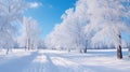 Winter landscape with fair trees under the snow. Scenery for the tourists. Christmas holidays. Trampled path in the snowdrifts Royalty Free Stock Photo