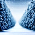 Winter landscape with fair trees under the snow. Scenery for the tourists. Christmas holidays Royalty Free Stock Photo