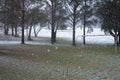 Winter landscape, falling snow. Photo taken from the bus window. Soft focus. cloudy day in December in Estonia. Royalty Free Stock Photo