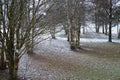 Winter landscape, falling snow. Photo taken from the bus window. Soft focus. cloudy day in December in Estonia. Royalty Free Stock Photo