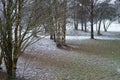 Winter landscape, falling snow. Photo taken from the bus window. Soft focus. cloudy day in December in Estonia. Royalty Free Stock Photo