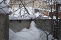 Winter landscape, fence in the bushes