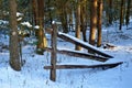 Winter landscape of fence in the forest