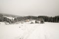 winter landscape with few houses, snow covered meadowss, hills and forest