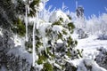 Winter landscape at the Fichtelberg Oberwiesenthal Royalty Free Stock Photo