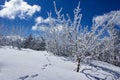 Winter landscape at the Fichtelberg Oberwiesenthal Royalty Free Stock Photo