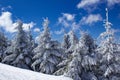 Winter landscape at the Fichtelberg Oberwiesenthal Royalty Free Stock Photo