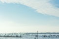 Winter landscape with field, trees and blue sky. long horizontal composition