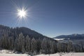 Winter landscape with fir trees forest covered by heavy snow in Postavaru mountain, Poiana Brasov resort, Royalty Free Stock Photo