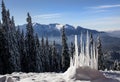 Winter landscape with fir trees forest covered by heavy snow in Postavaru mountain, Poiana Brasov resort, Royalty Free Stock Photo