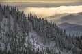 Winter landscape with fir trees forest covered by heavy snow in Postavaru mountain, Poiana Brasov resort, Royalty Free Stock Photo