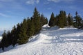 Winter landscape with fir trees forest covered by heavy snow in Postavaru mountain, Poiana Brasov resort Royalty Free Stock Photo