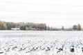 Winter landscape with first snow in the countryside fields with late autumn colors Royalty Free Stock Photo