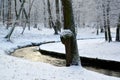 Winter landscape with the first snow in the park, Kaliningrad Royalty Free Stock Photo