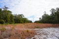 The winter landscape of Florida Trail