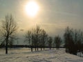 Winter landscape foggy air from severe frost at dusk sunset and bare gnarled trees