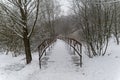 Winter landscape with a footbridge at the bottom of the ravine