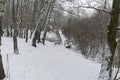 Winter landscape with a footbridge at the bottom of the ravine