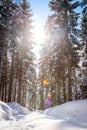 Sunny winter landscape in the nature: Footpath, snowy trees, sunshine and blue sky